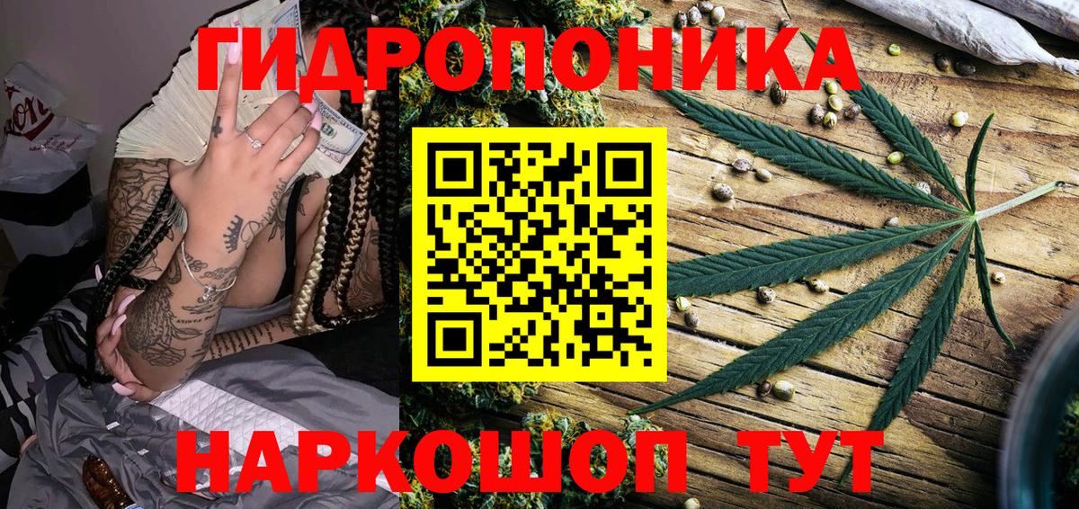 Марихуана конопля Сорочинск